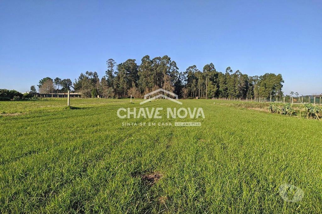 Terrenos Vila Nova de Gaia - Fotos para Terreno com 4000 m2 para construção em Seixezelo - Pedroso