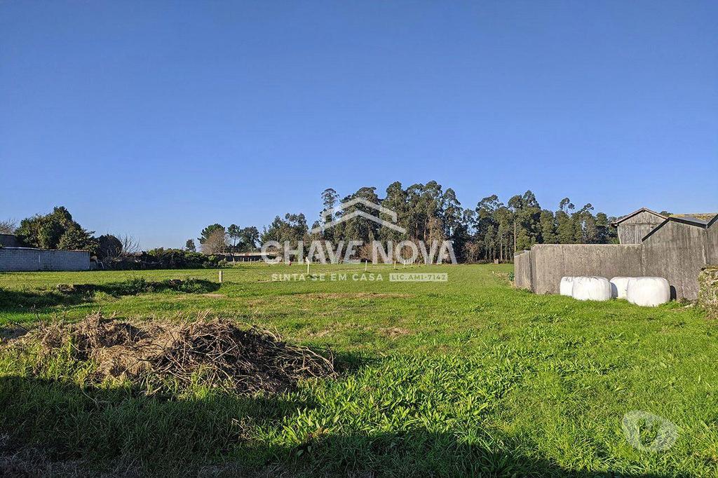 Terrenos Vila Nova de Gaia - Fotos para Terreno com 4000 m2 para construção em Seixezelo - Pedroso