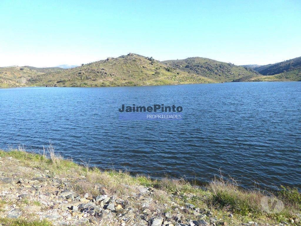 Terrenos Alfândega da Fé - Fotos para 90ha com Olival, Cortiça, Floresta e Caça. Portugal, Alfândega