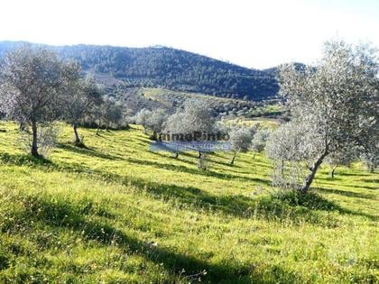 Terrenos e Quintas - Fotos para 90ha com Olival, Cortiça, Floresta e Caça. Portugal, Alfândega