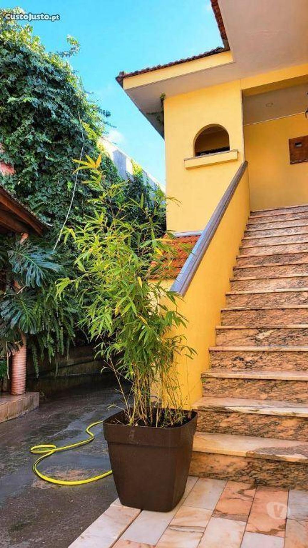 Apartamentos a venda Vila Nova de Gaia - Fotos para Andar moradia T3 remodelado 500m estação comboio Aguda, praia