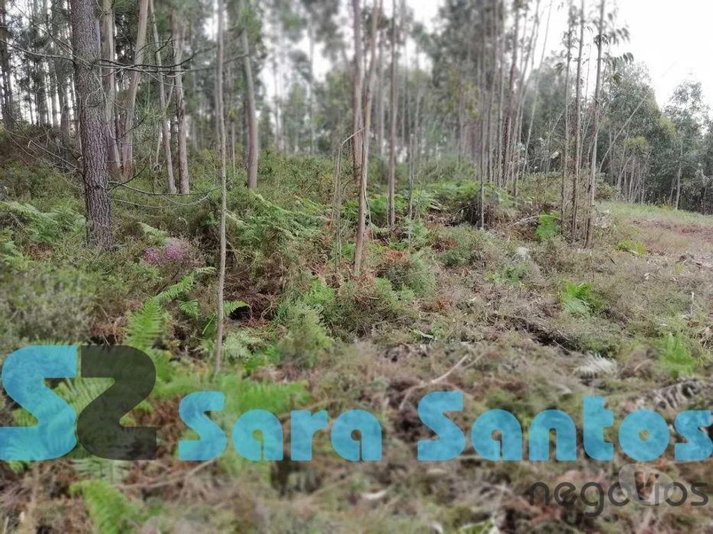 Terrenos Gondomar - Fotos para Vendo terreno Urbano com 5800m2 em Fânzeres, Gondomar. (SS0178)