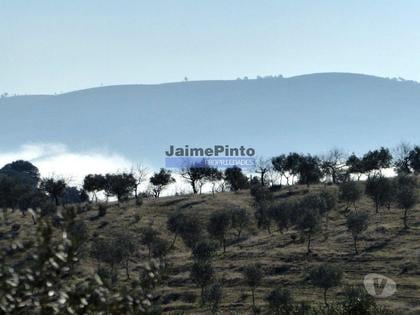 Casas e apartamentos - venda - Fotos para Moradia usada V4 em A. da Fé, Bragança. Portugal, Alfândega da