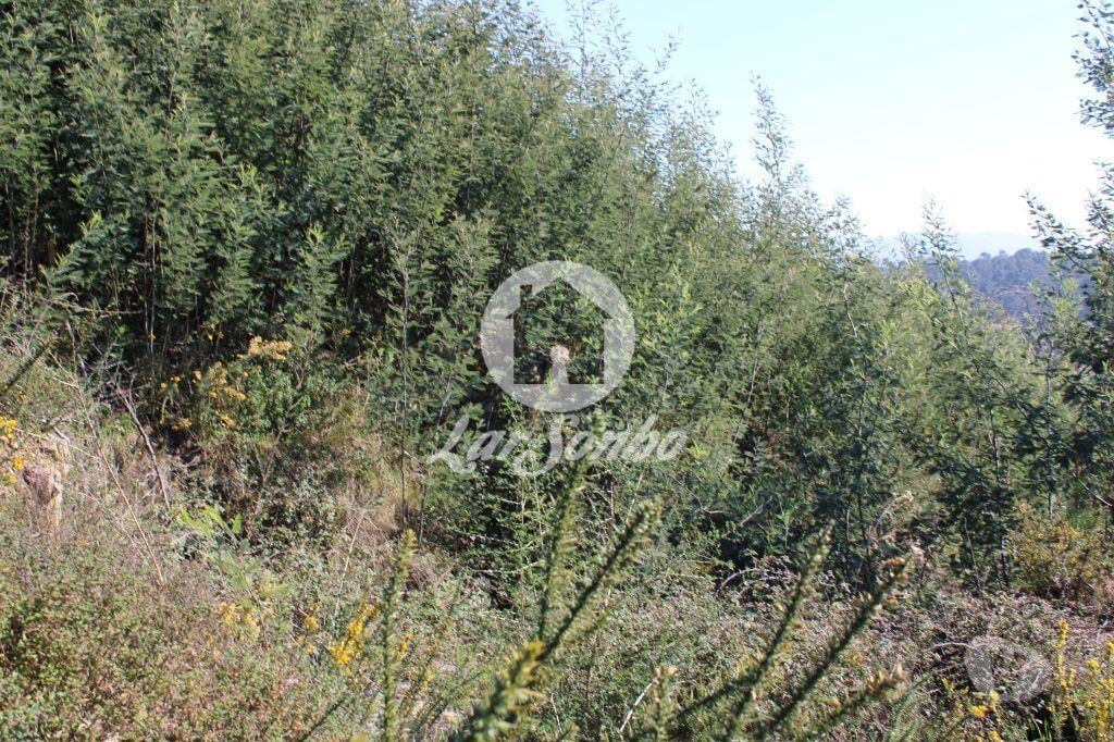 Terrenos Vila Verde - Fotos para Vila-verde-Loteamento para construção de Moradias (265-T-00087)