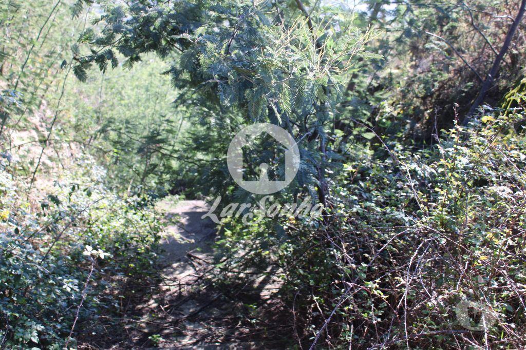 Terrenos Vila Verde - Fotos para Vila-verde-Loteamento para construção de Moradias (265-T-00087)