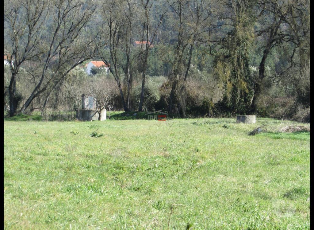 Terrenos Ourém - Fotos para Ourem-Terreno Rústico C poço (1-T-000546)