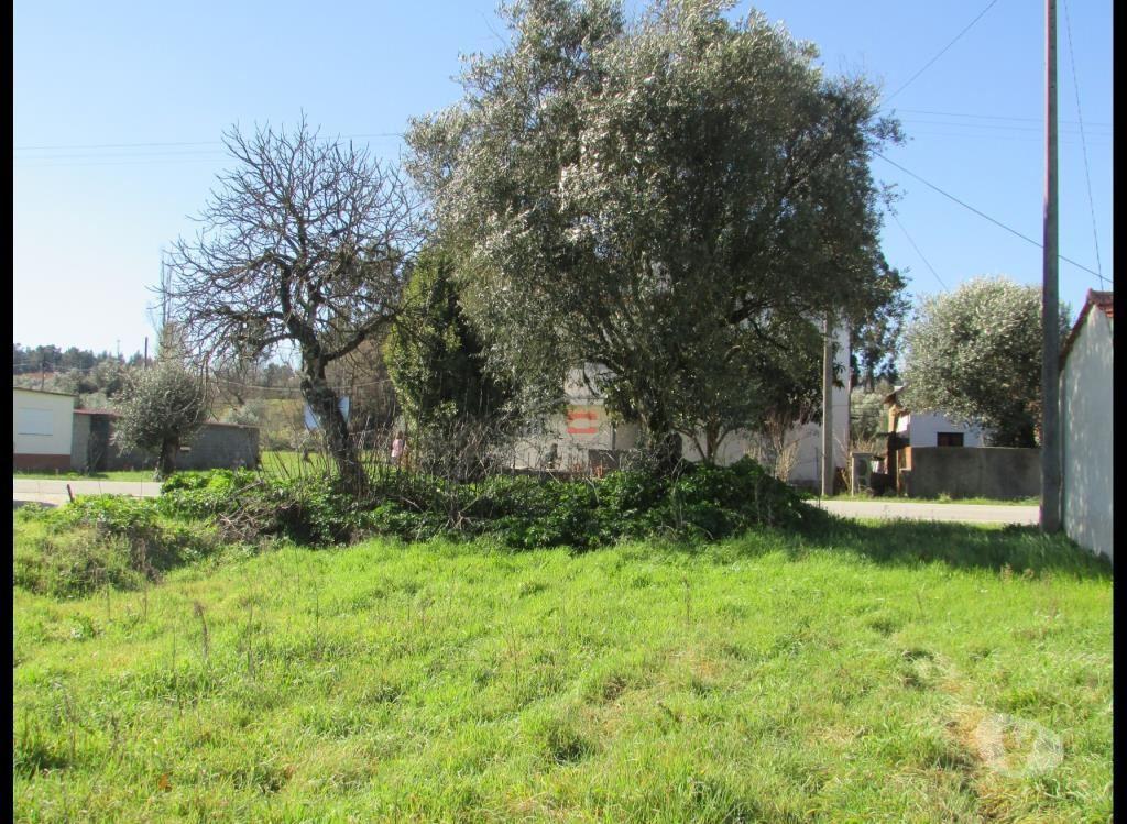 Terrenos Ourém - Fotos para Ourem-Terreno Rústico C poço (1-T-000546)