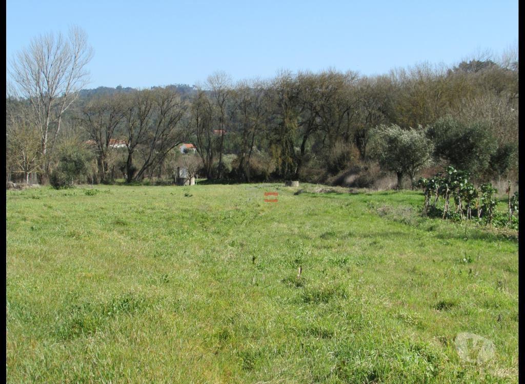 Terrenos Ourém - Fotos para Ourem-Terreno Rústico C poço (1-T-000546)