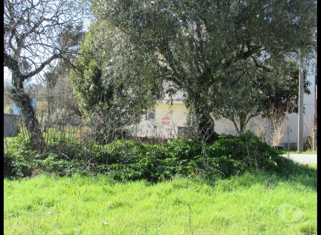 Terrenos Ourém - Fotos para Ourem-Terreno Rústico C poço (1-T-000546)