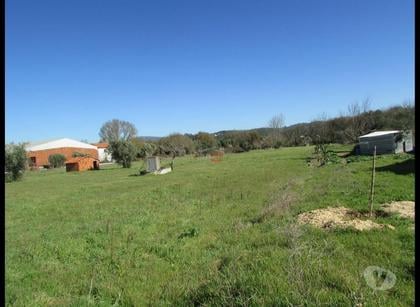 Terrenos - Fotos para Ourem-Terreno Rústico C poço (1-T-000546)