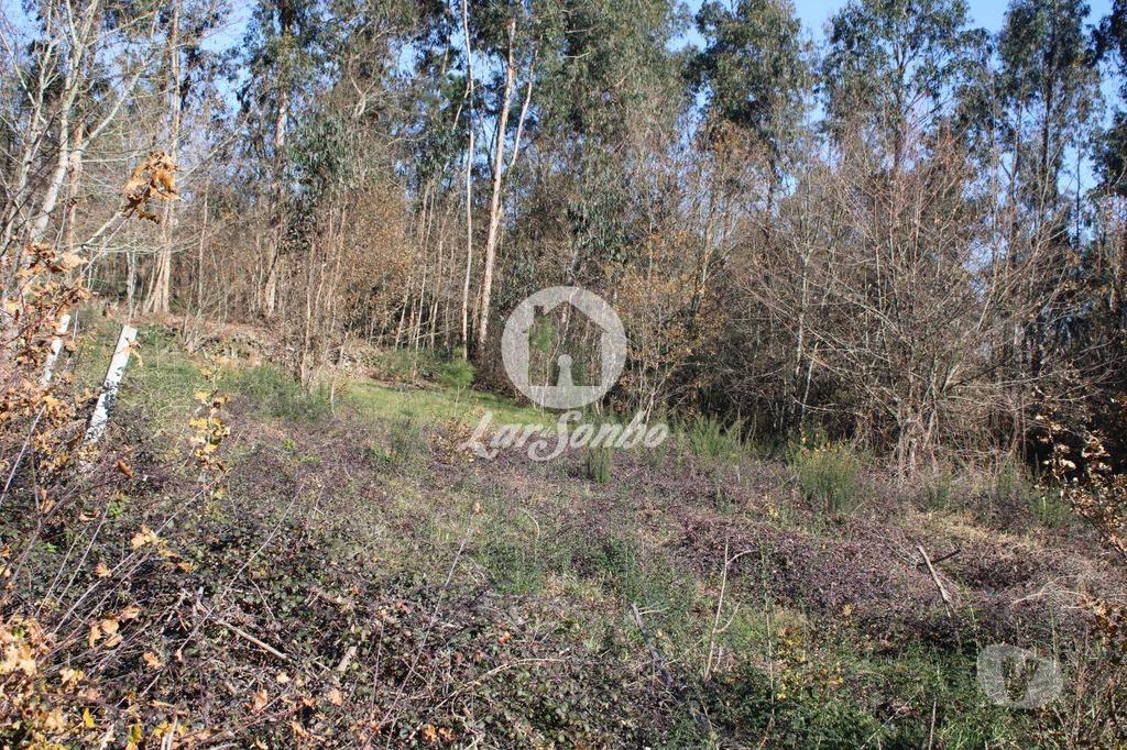 Terrenos Barcelos - Fotos para Barcelos-Terreno para construção (265-T-01147)