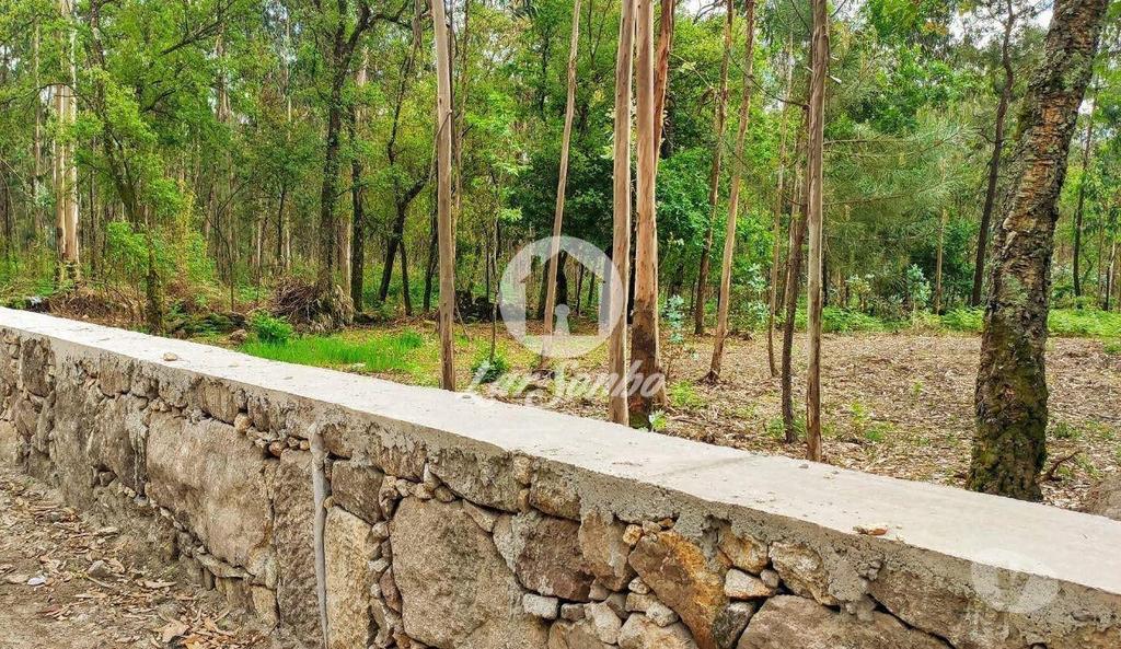 Terrenos Barcelos - Fotos para Barcelos-Terreno para construção (265-T-01147)