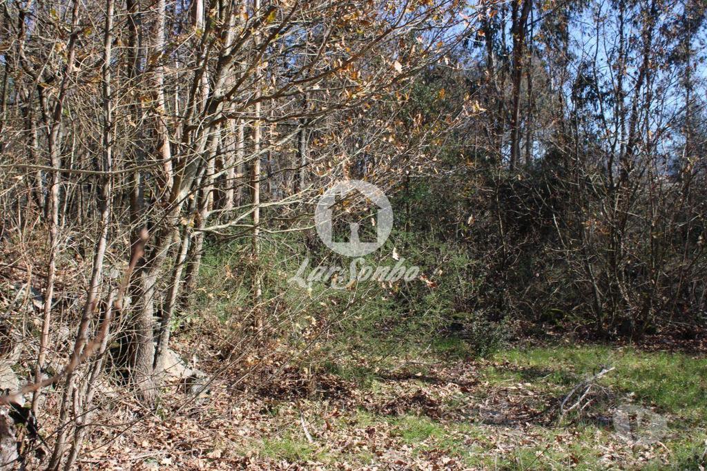 Terrenos Barcelos - Fotos para Barcelos-Terreno para construção (265-T-01147)