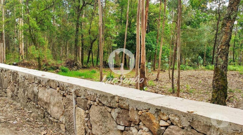 Terrenos Barcelos - Fotos para Barcelos-Terreno para construção (265-T-01147)