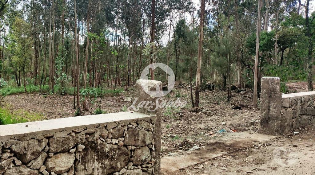 Terrenos Barcelos - Fotos para Barcelos-Terreno para construção (265-T-01147)