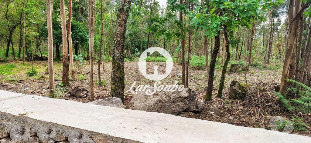 Terrenos Barcelos - Fotos para Barcelos-Terreno para construção (265-T-01147)