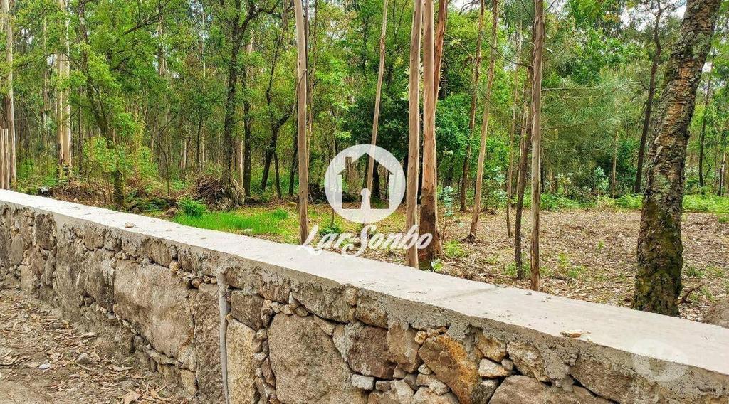 Terrenos Barcelos - Fotos para Barcelos-Terreno para construção (265-T-01147)