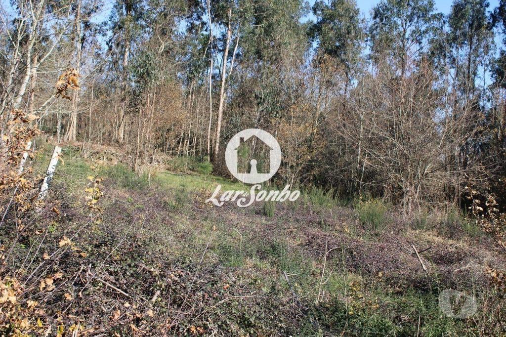 Terrenos Barcelos - Fotos para Barcelos-Terreno para construção (265-T-01147)