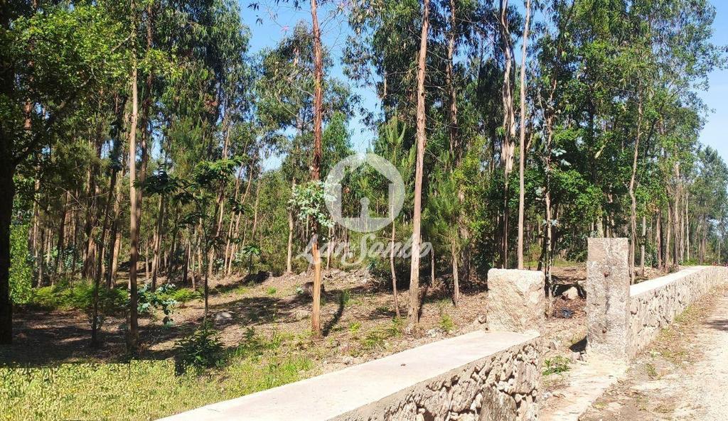 Terrenos Barcelos - Fotos para Barcelos-Terreno para construção (265-T-01147)