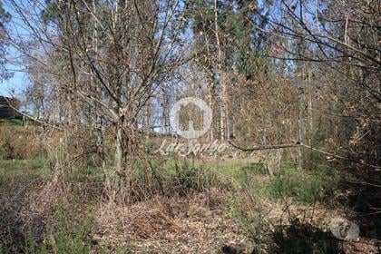 Terrenos - Fotos para Barcelos-Terreno para construção (265-T-01147)