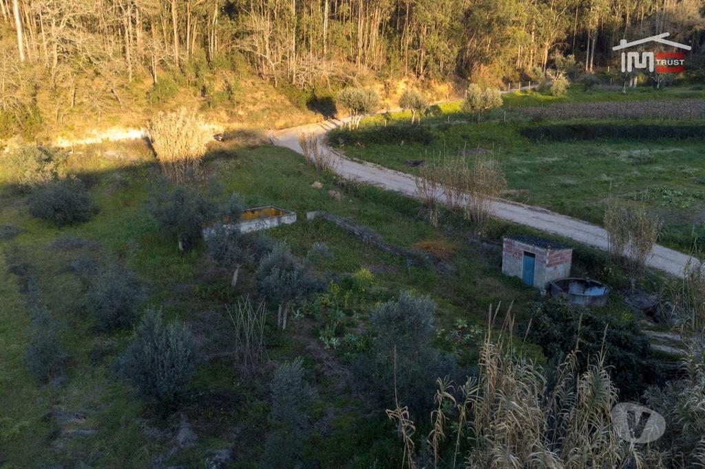 Terrenos Ourém - Fotos para Ourem-Terreno agricola (1-T-000544)