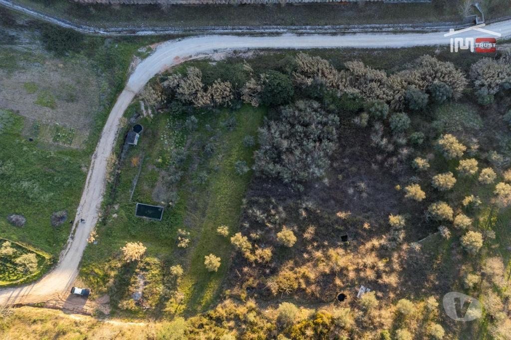 Terrenos Ourém - Fotos para Ourem-Terreno agricola (1-T-000544)