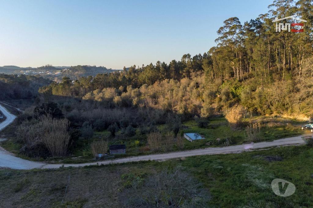 Terrenos Ourém - Fotos para Ourem-Terreno agricola (1-T-000544)