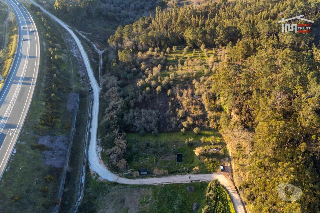 Terrenos Ourém - Fotos para Ourem-Terreno agricola (1-T-000544)