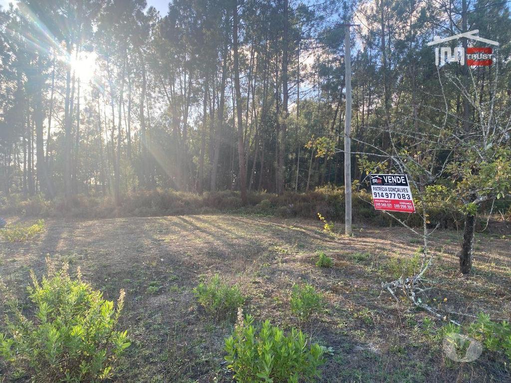 Terrenos Ourém - Fotos para Ourem-Terreno com possibilidade de Construção 3200M2 (1-T-000545)