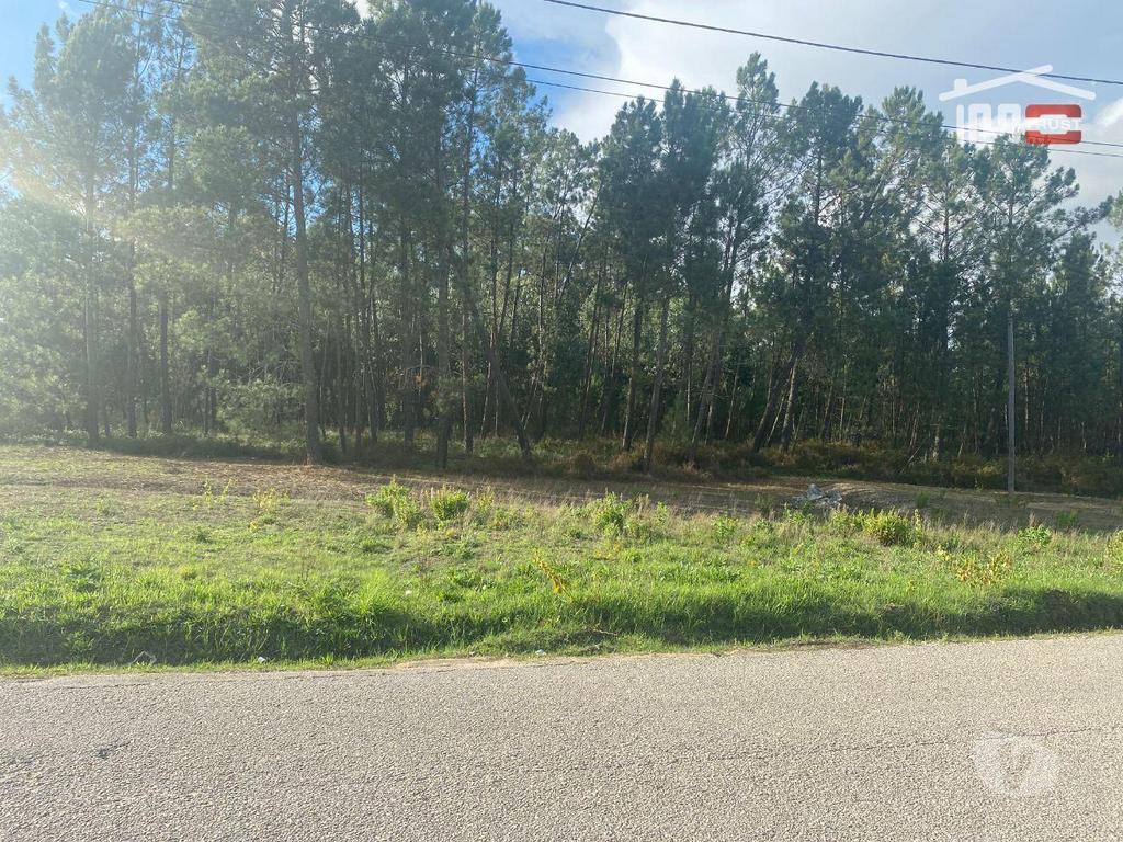 Terrenos Ourém - Fotos para Ourem-Terreno com possibilidade de Construção 3200M2 (1-T-000545)