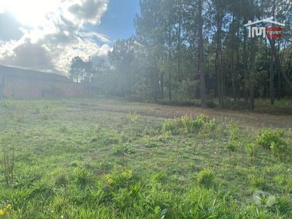Terrenos - Fotos para Ourem-Terreno com possibilidade de Construção 3200M2 (1-T-000545)