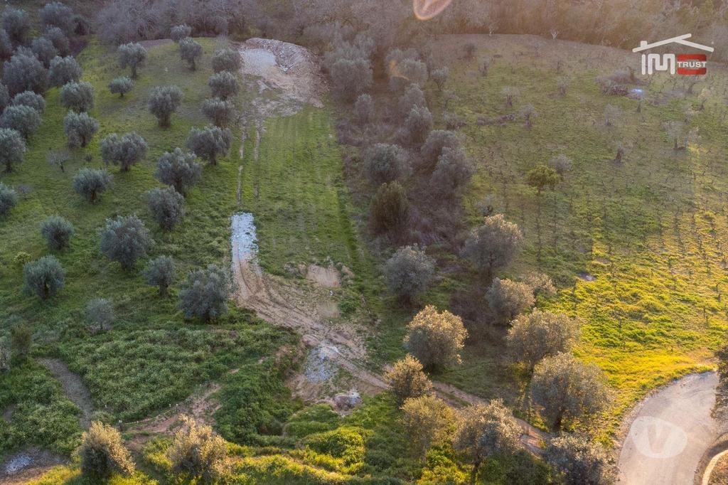Terrenos Ourém - Fotos para Ourem-Terreno para agricultura (1-T-000543)