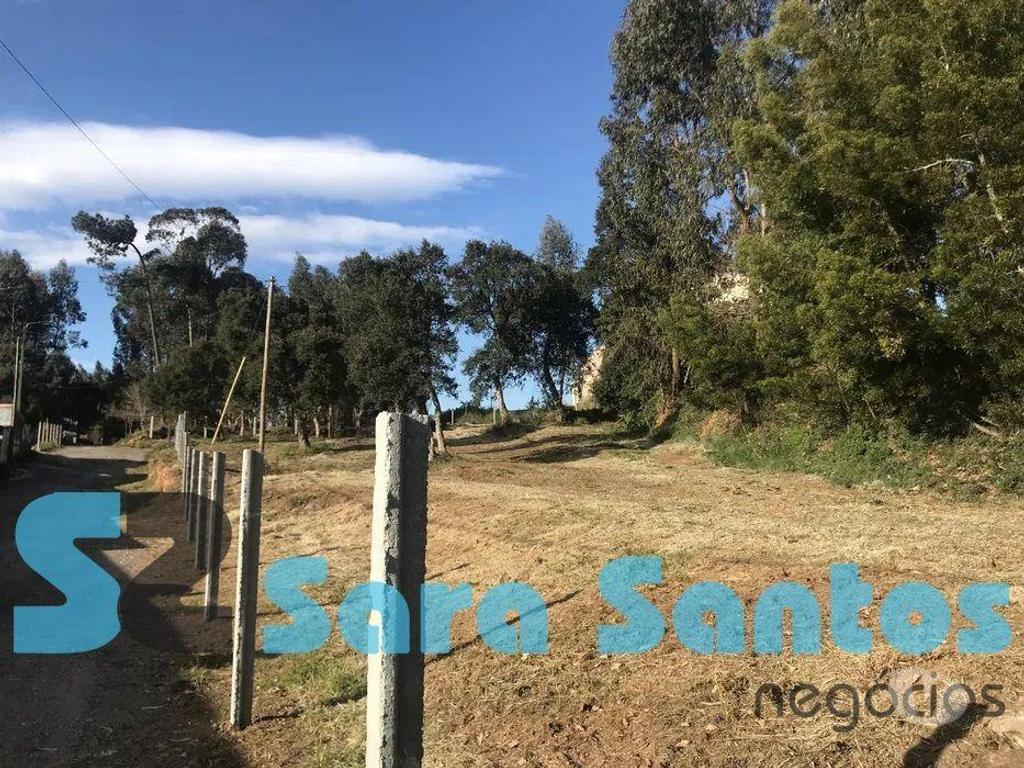 Terrenos Vila Nova de Gaia - Fotos para Terreno C 2040M2 S. Félix da marinha, bons acessos, a cerca de