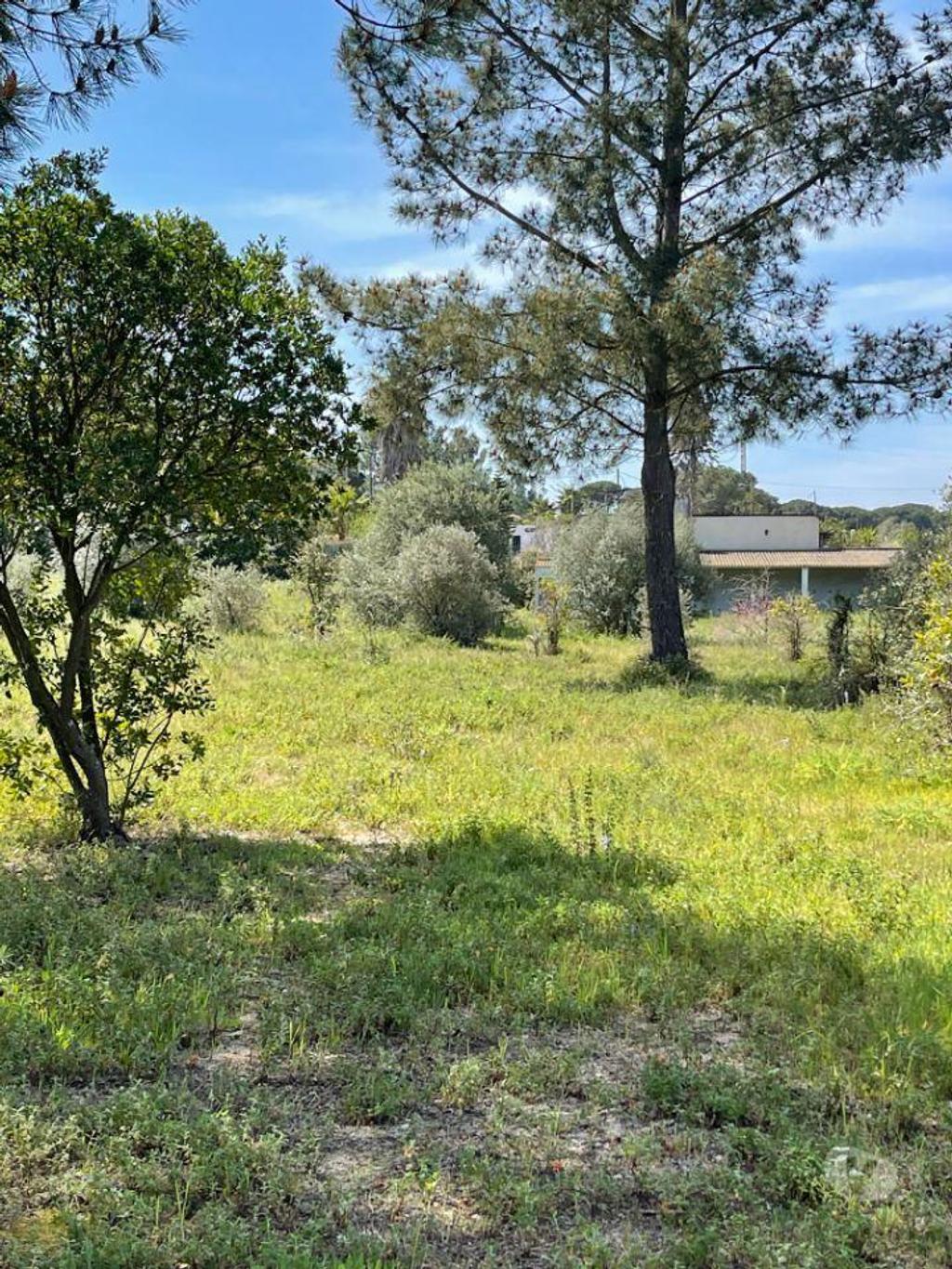 Terrenos Setúbal - Fotos para Terreno com Projeto de Construção de uma moradia térrea com uma