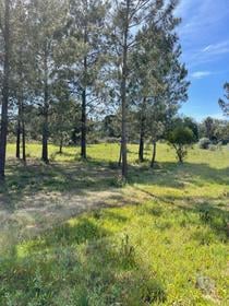 Terreno com Projeto de Construção de uma moradia térrea com uma