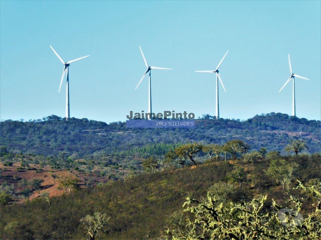 Terrenos Almodôvar - Fotos para 170HA com cortiça e casa na Serra do Caldeirão. Portugal.
