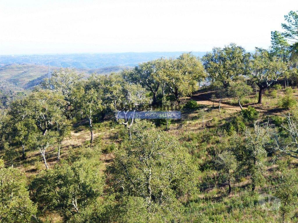 Terrenos Almodôvar - Fotos para 170HA com cortiça e casa na Serra do Caldeirão. Portugal.