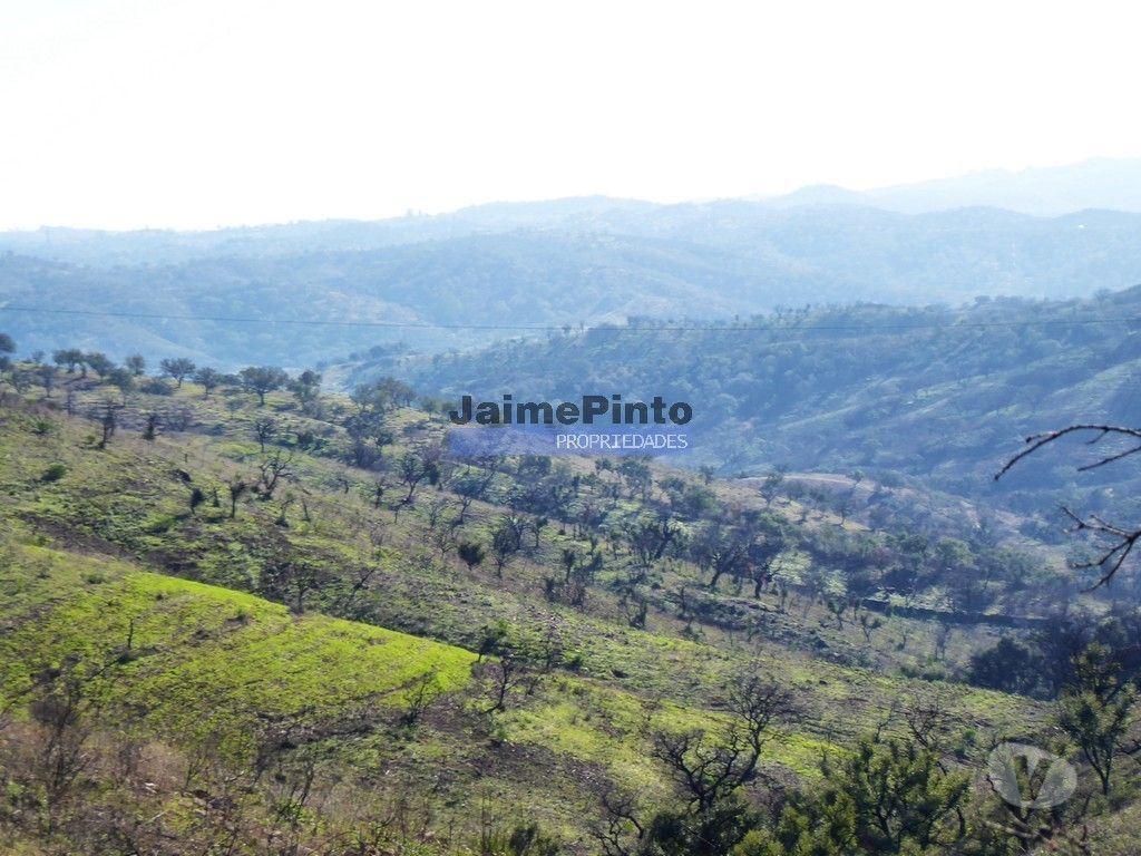 Terrenos Almodôvar - Fotos para 170HA com cortiça e casa na Serra do Caldeirão. Portugal.