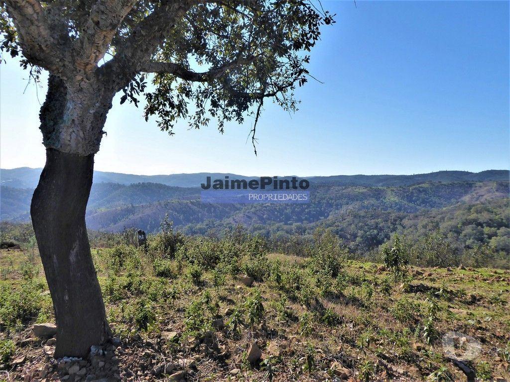 Terrenos Almodôvar - Fotos para 170HA com cortiça e casa na Serra do Caldeirão. Portugal.