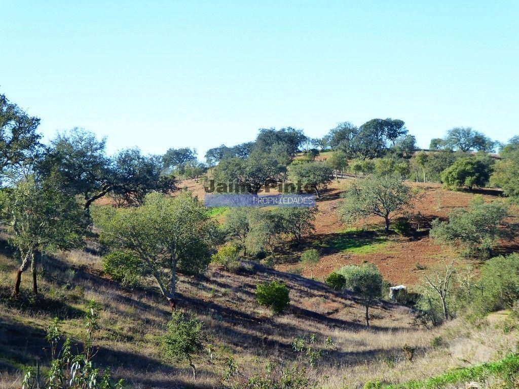 Terrenos Almodôvar - Fotos para 170HA com cortiça e casa na Serra do Caldeirão. Portugal.