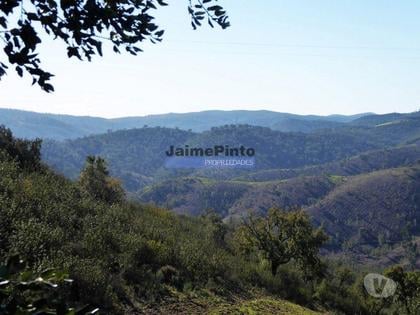 Terrenos a venda - Fotos para 170HA com cortiça e casa na Serra do Caldeirão. Portugal.