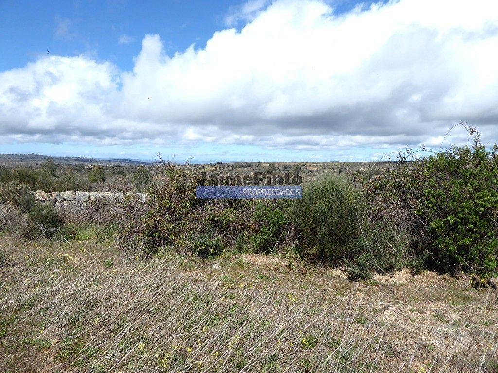 Terrenos Figueira de Castelo Rodrigo - Fotos para Quinta, herdade de 210.000m2 para agricultura. Portugal, Guarda,