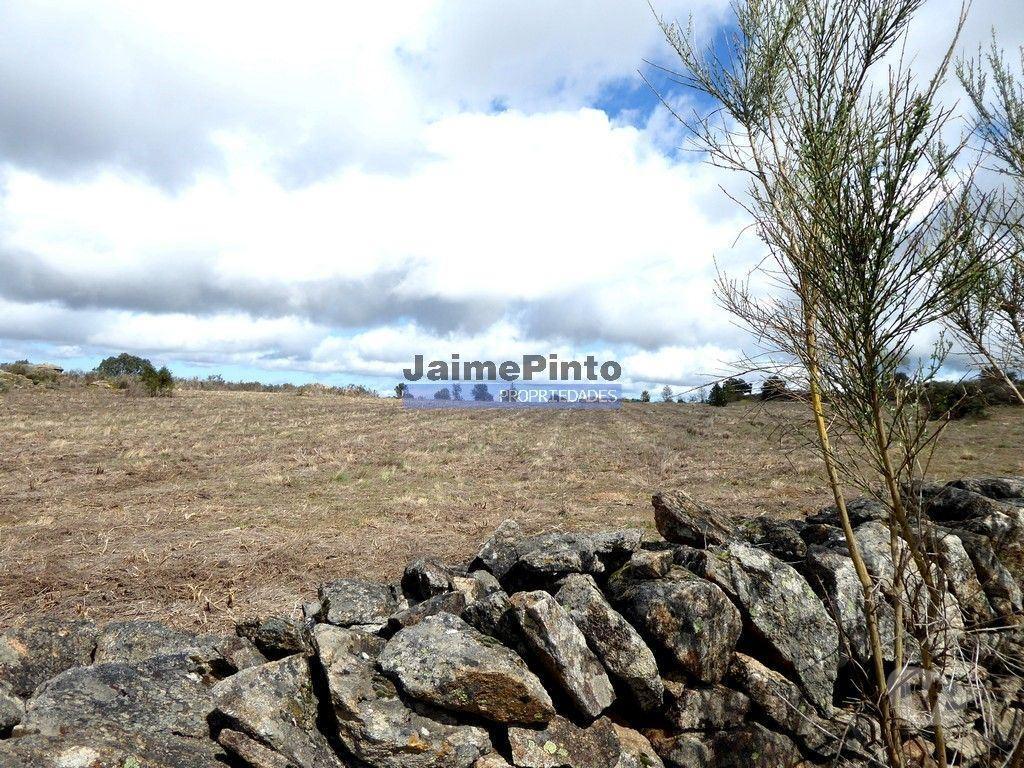 Terrenos Figueira de Castelo Rodrigo - Fotos para Quinta, herdade de 210.000m2 para agricultura. Portugal, Guarda,