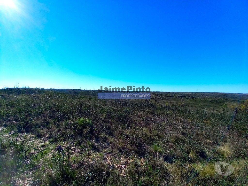 Terrenos Vila do Bispo - Fotos para 170 ha Terreno, casa ruína. Portugal, Algarve, Sagres. (9281_T)