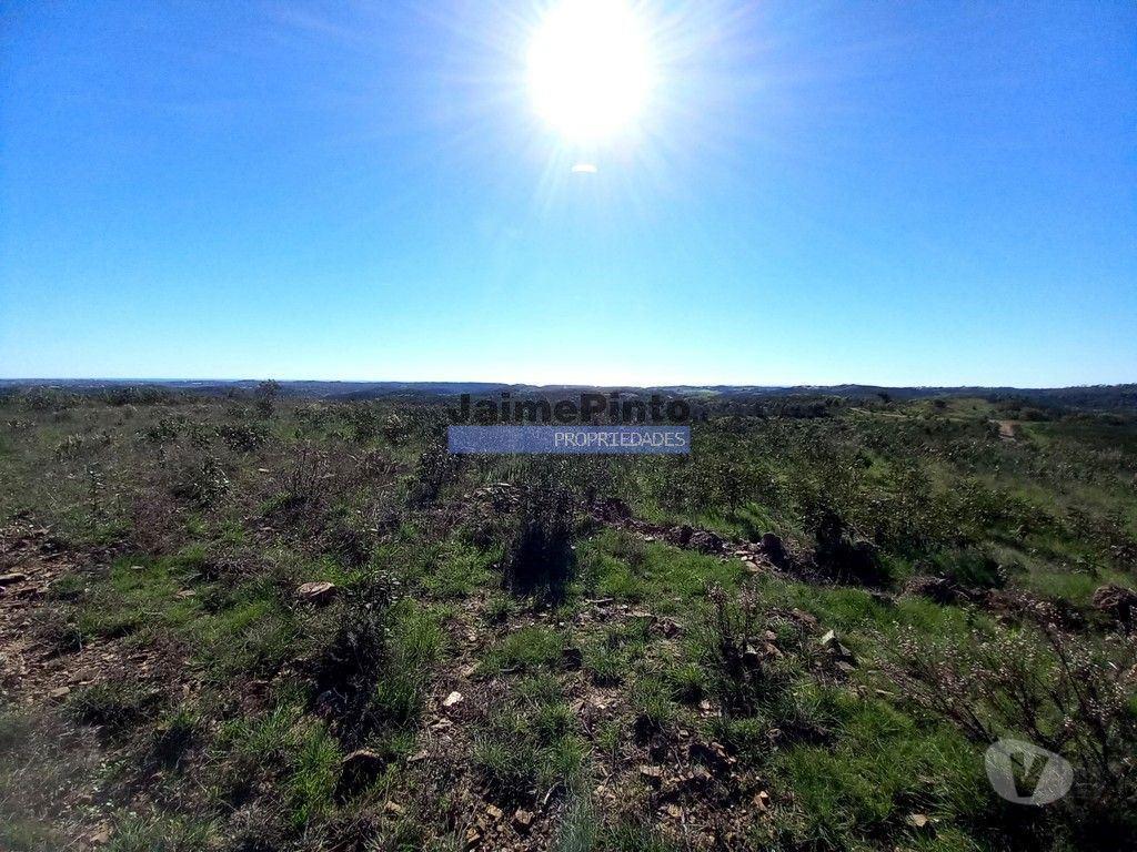 Terrenos Vila do Bispo - Fotos para 170 ha Terreno, casa ruína. Portugal, Algarve, Sagres. (9281_T)