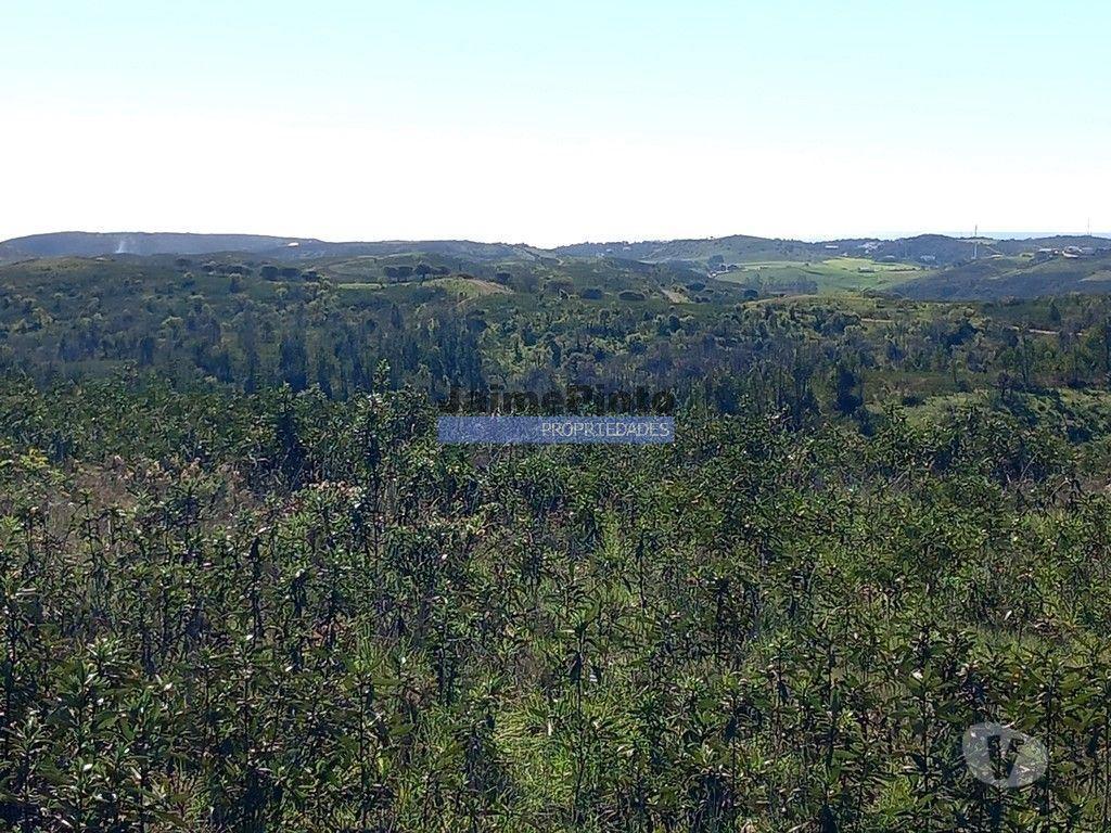 Terrenos Vila do Bispo - Fotos para 170 ha Terreno, casa ruína. Portugal, Algarve, Sagres. (9281_T)