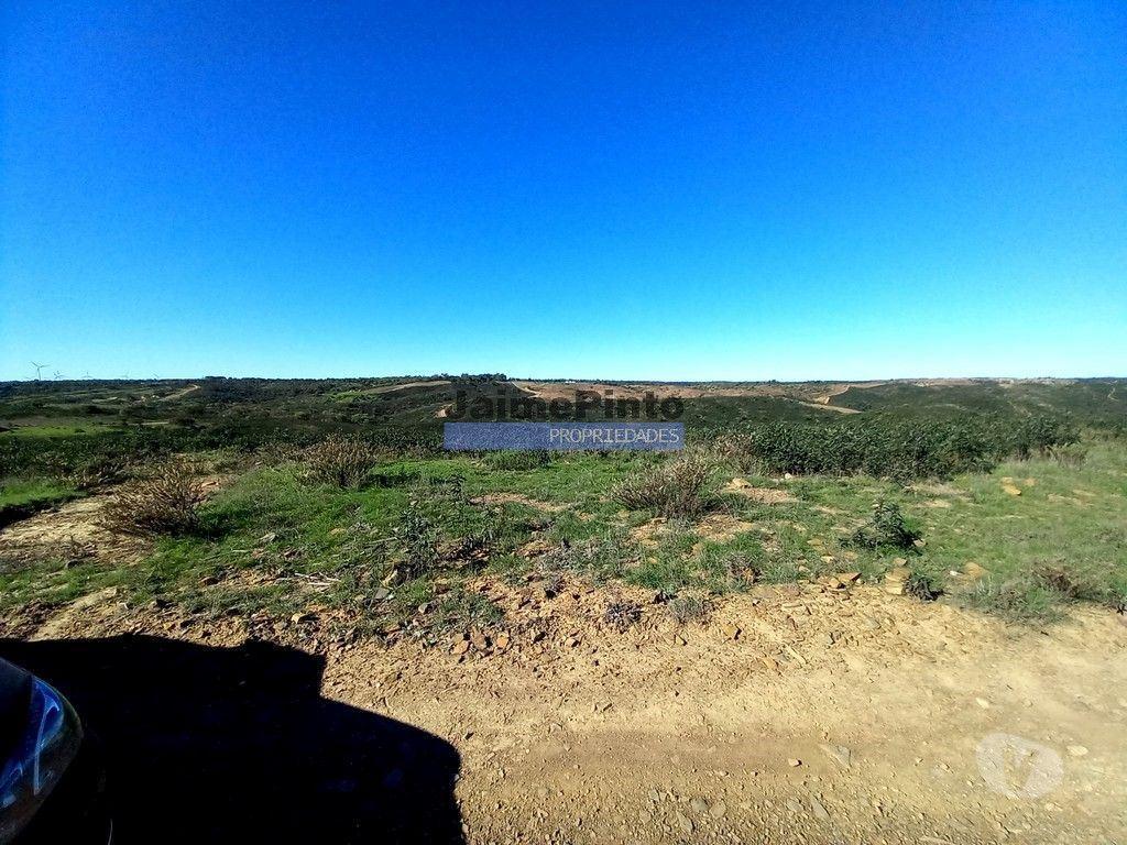 Terrenos Vila do Bispo - Fotos para 170 ha Terreno, casa ruína. Portugal, Algarve, Sagres. (9281_T)