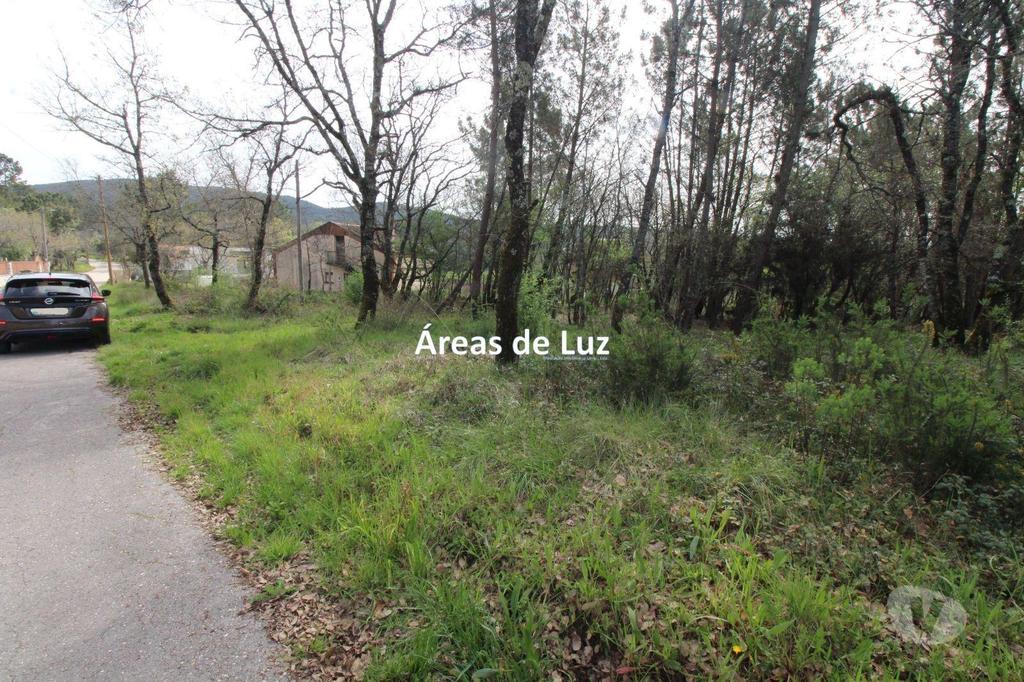 Terrenos Ansião - Fotos para Ansiao-Terreno para Construção com 2605 m2 - Avelar (3437 23)