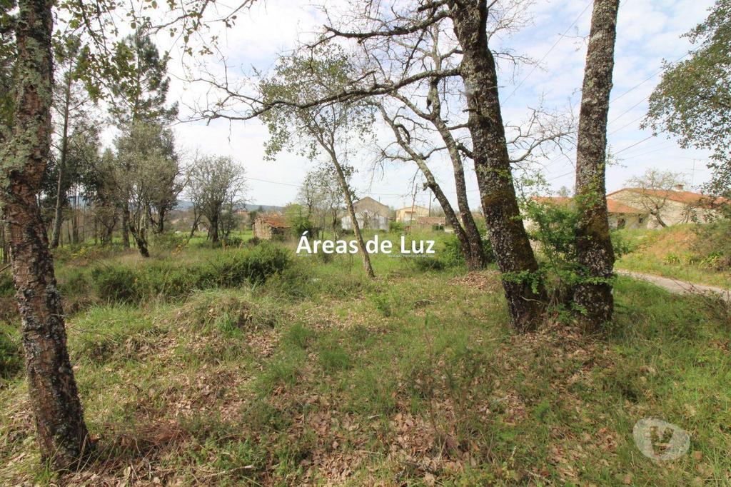 Terrenos Ansião - Fotos para Ansiao-Terreno para Construção com 2605 m2 - Avelar (3437 23)
