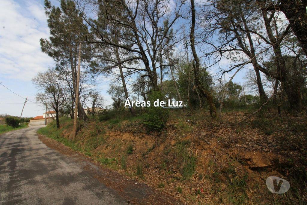 Terrenos Ansião - Fotos para Ansiao-Terreno para Construção com 2605 m2 - Avelar (3437 23)